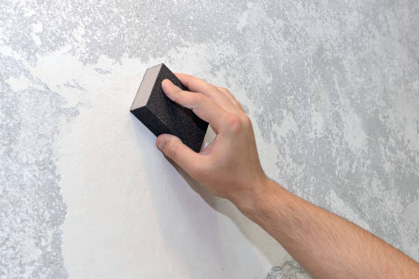 Best Biohazard Mold Removal  in Glen Burnie, MD