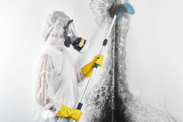 Best Crawl Space Mold Remediation  in Glen Burnie, MD