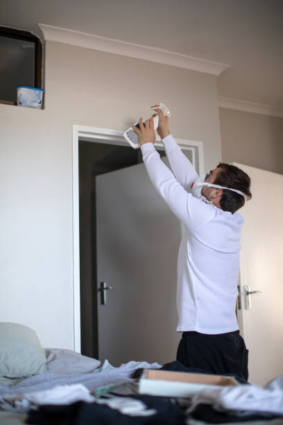 Best Black Mold Removal  in Glen Burnie, MD