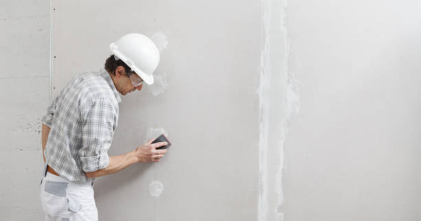 Best Mold Damage Restoration  in Glen Burnie, MD