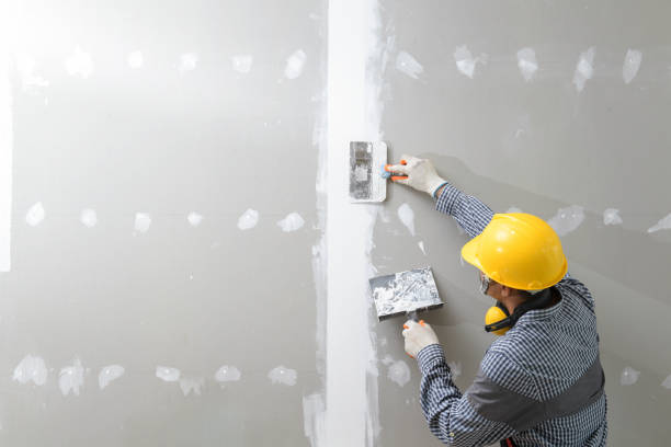 Asbestos and Lead Testing During Mold Inspection in Glen Burnie, MD