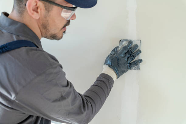 Glen Burnie, MD Mold Removal Company