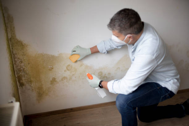 Best Indoor Air Quality Assessment  in Glen Burnie, MD