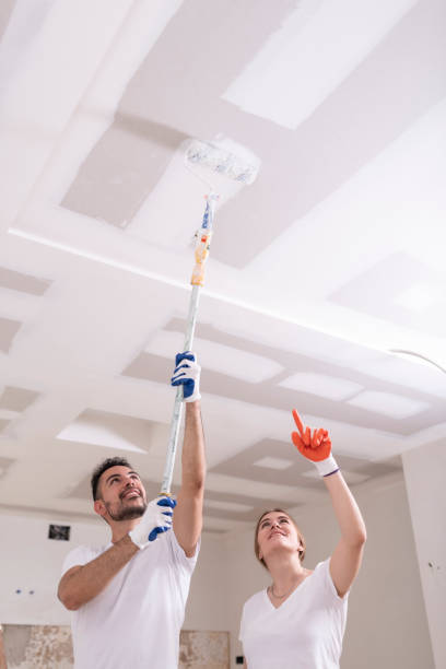 Best Commercial Mold Inspection  in Glen Burnie, MD