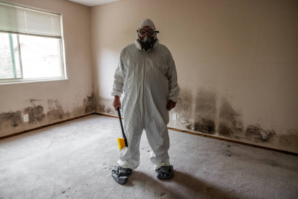 Best Post-Construction Mold Inspection  in Glen Burnie, MD