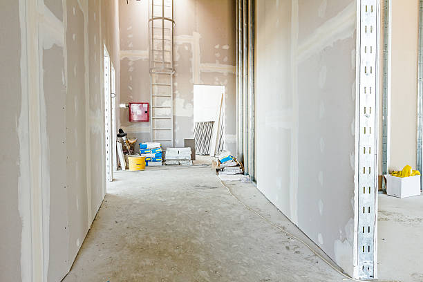 Best Commercial Mold Inspection  in Glen Burnie, MD